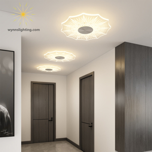 Round Ceiling Lamp LED Modern Lights Indoor Lighting Ceiling Lighting for Kitchen Bedroom