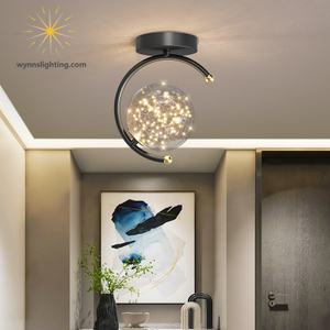 Aisle Entrance Indoor Light Decoration Ceiling Lamp Black Gold Ceiling Lighting for Home Living Room Bedroom