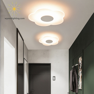 LED Neutral Modern Simple Living Room Aisle Ceiling Lights Home Lamp