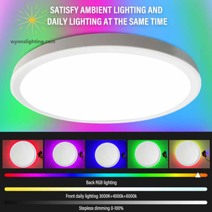 RGB Backlight for Bedroom Kitchen Living Room Party Double Sided Lighting Ceiling Light