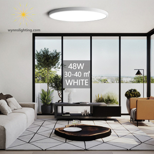 LED Ceiling Lamp Ultrathin Light Fixture Ceiling Lights for Bedroom Living Room Decor