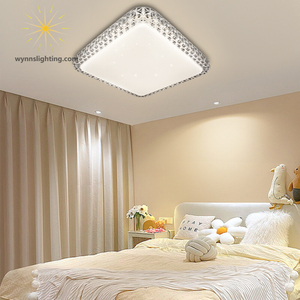 Amazon Hot Sale LED Ceiling Light Modern Lamp for Bedroom Living Room Home Decor